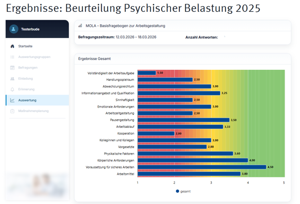 3_Ergebnisse Auswertung.png